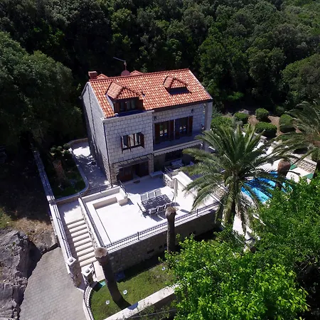 Villa Franica Dubrovnik, City Beach Villa With Pool And Sea View-2